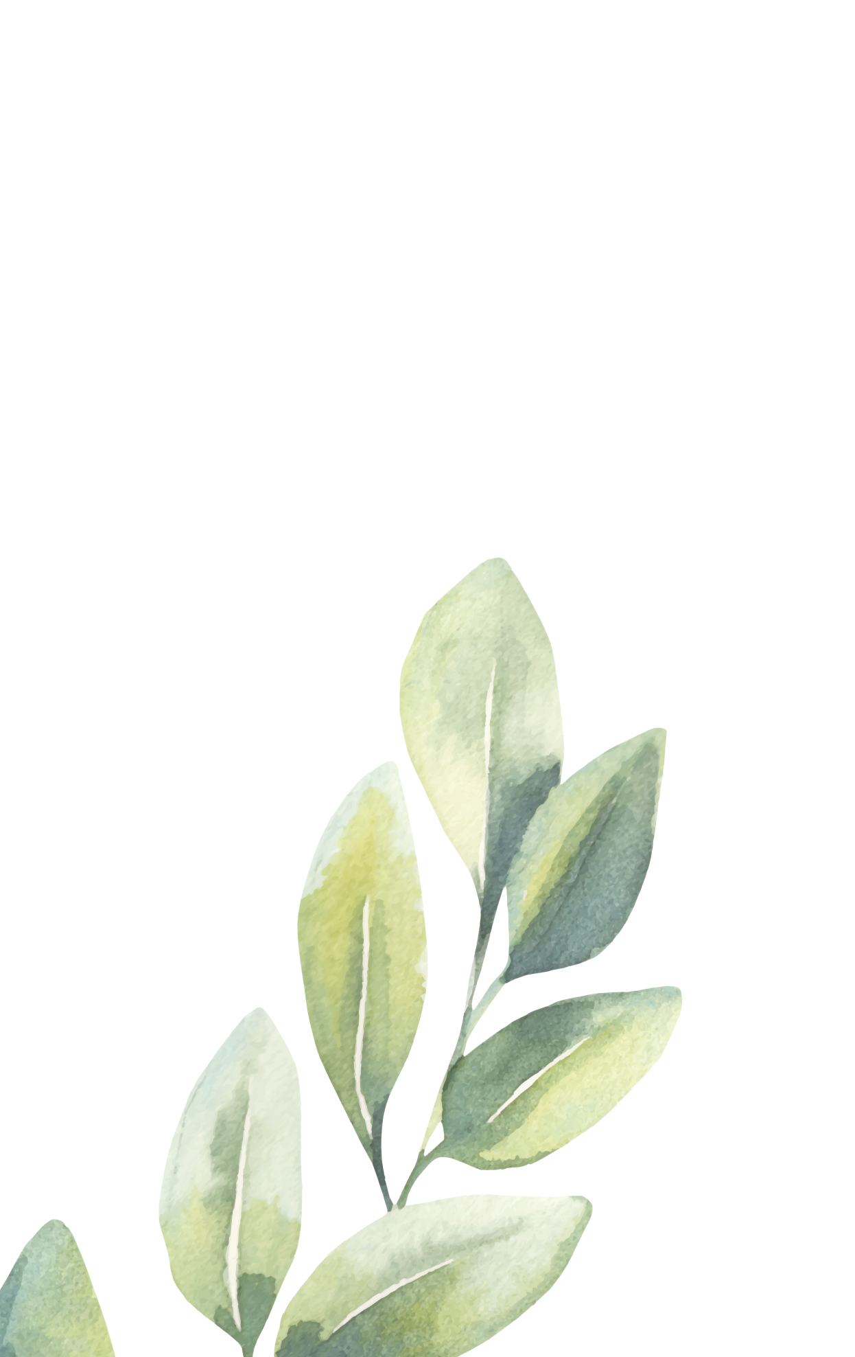 Leaf graphic