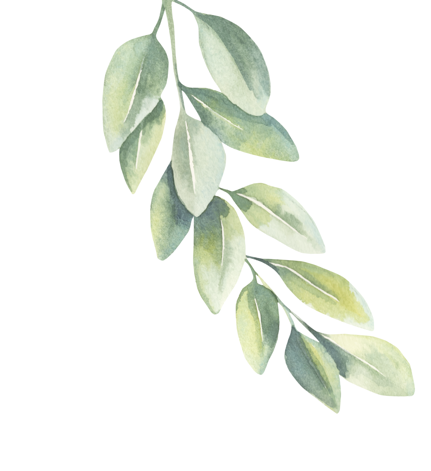 Leaf graphic